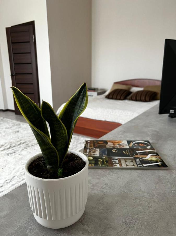 Meiman House Close To Asia Mall 比什凯克 外观 照片